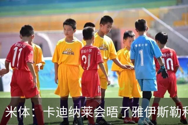 米体：卡迪纳莱会晤了雅伊斯勒和阿莫林，格拉斯纳在等米兰消息