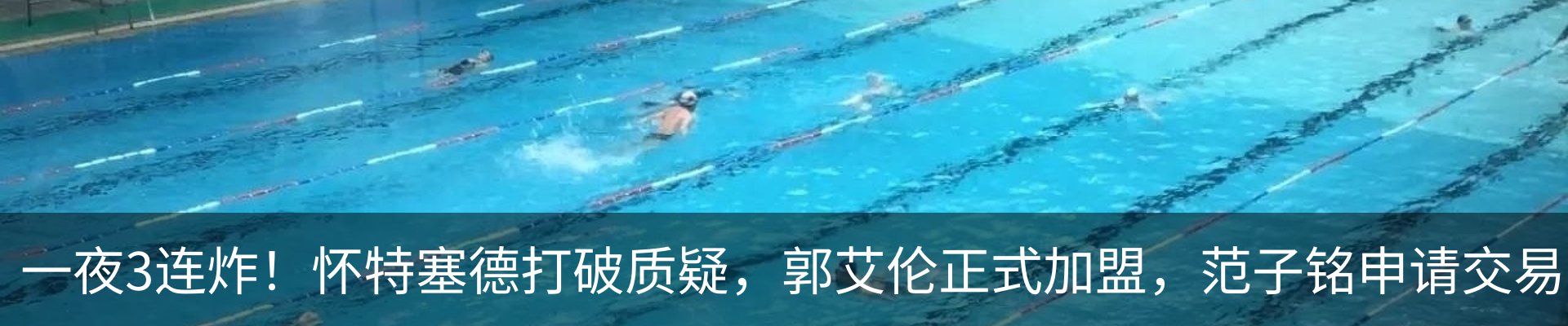 最新动态